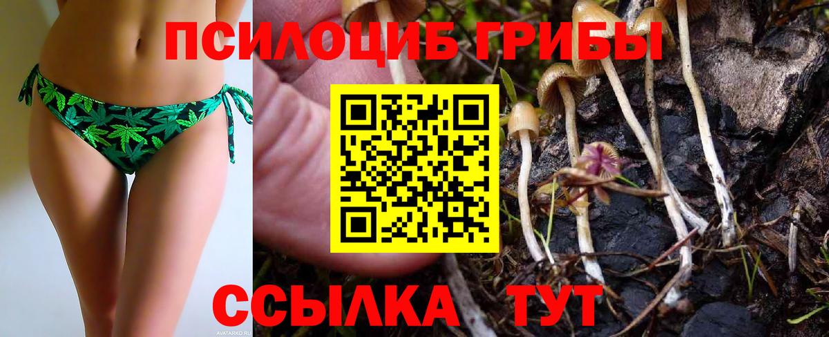 Галлюциногенные грибы мухоморы Сочи