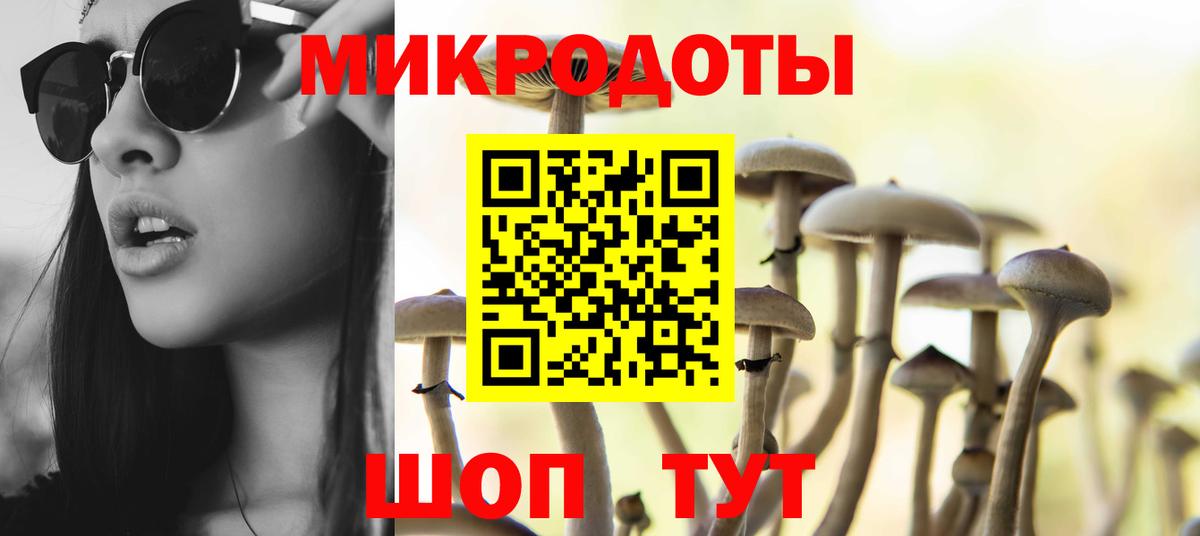 дарнет шоп  Псилоцибиновые грибы GOLDEN TEACHER  Вход с VPN  Сочи 